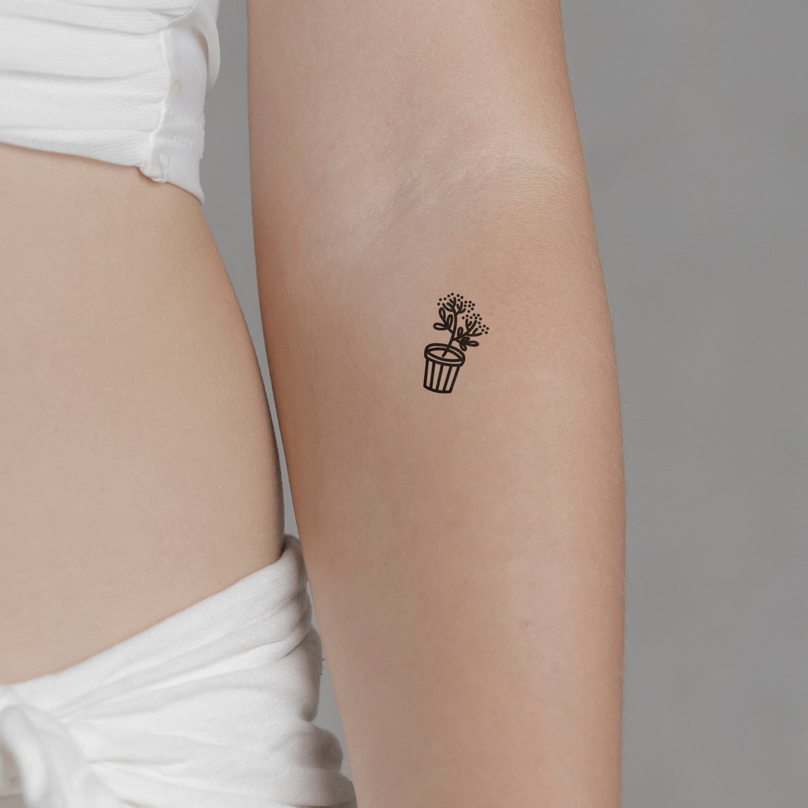 Temporäres Tattoo von minink: Topfplanze