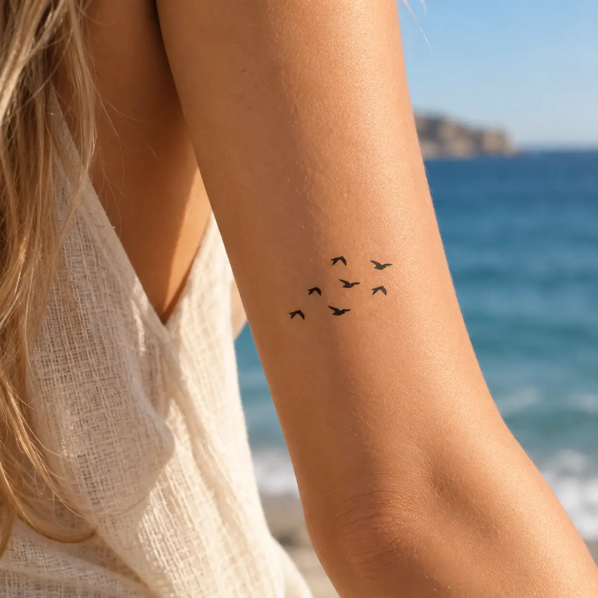 Birds