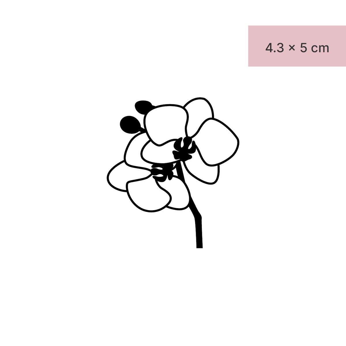 Orchidee mit Stiel