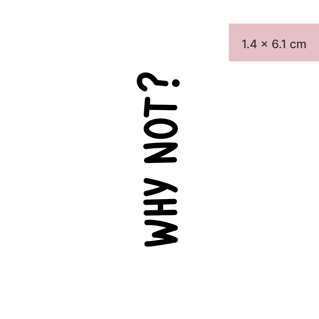 Schriftzug Tattoo WHY NOT von minink, der Marke für temporäre Tattoos.