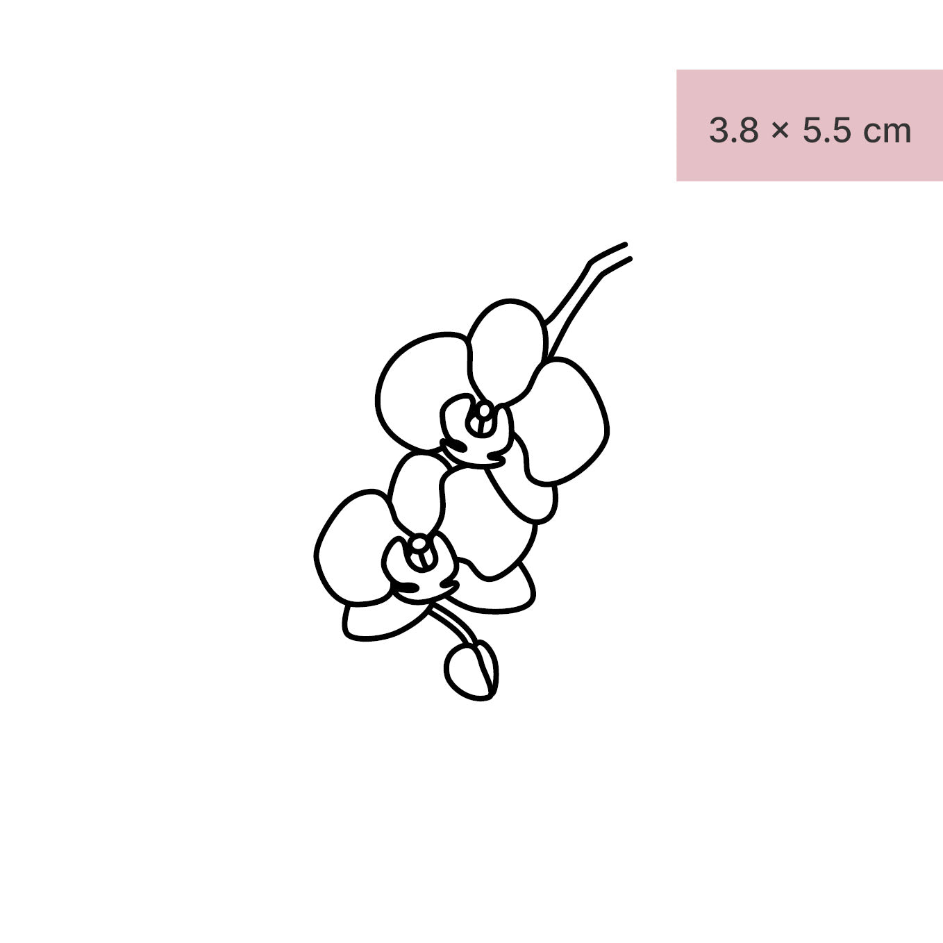 Zwei Orchideen Tattoo von minink, der Marke für temporäre Tattoos.