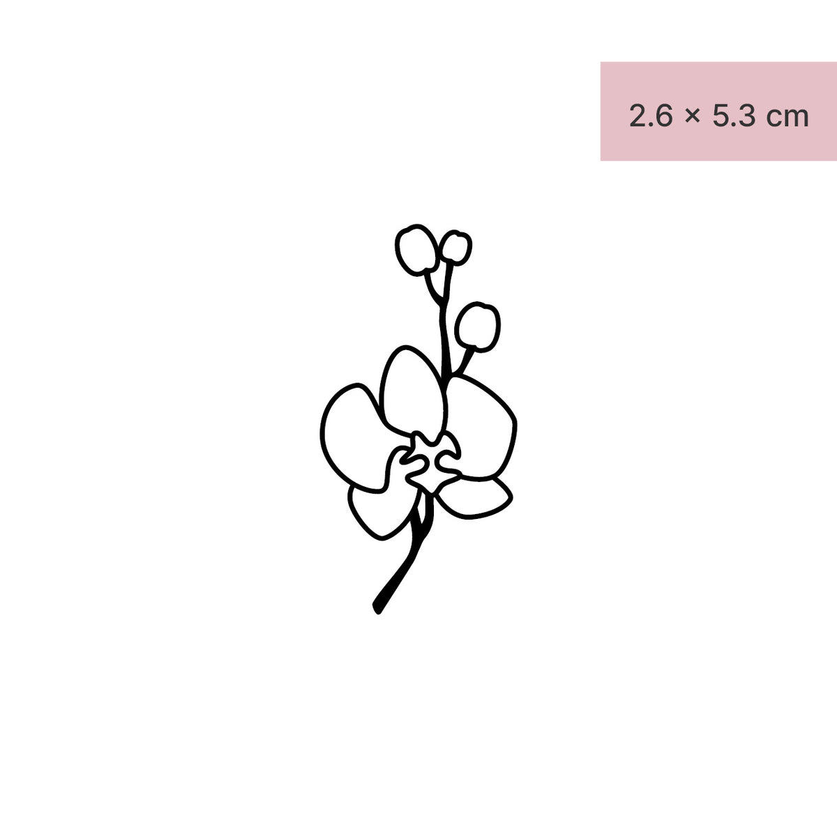 Schöne Orchidee