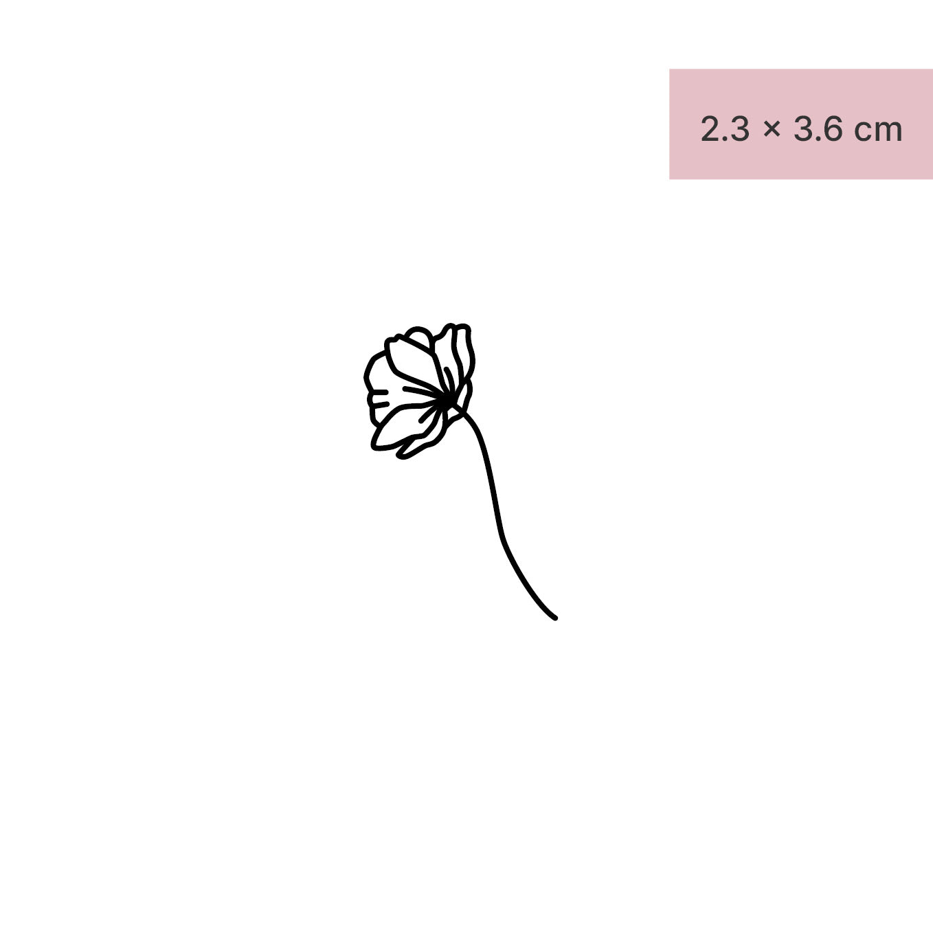 Mohnblume Tattoo von minink, der Marke für temporäre Tattoos.