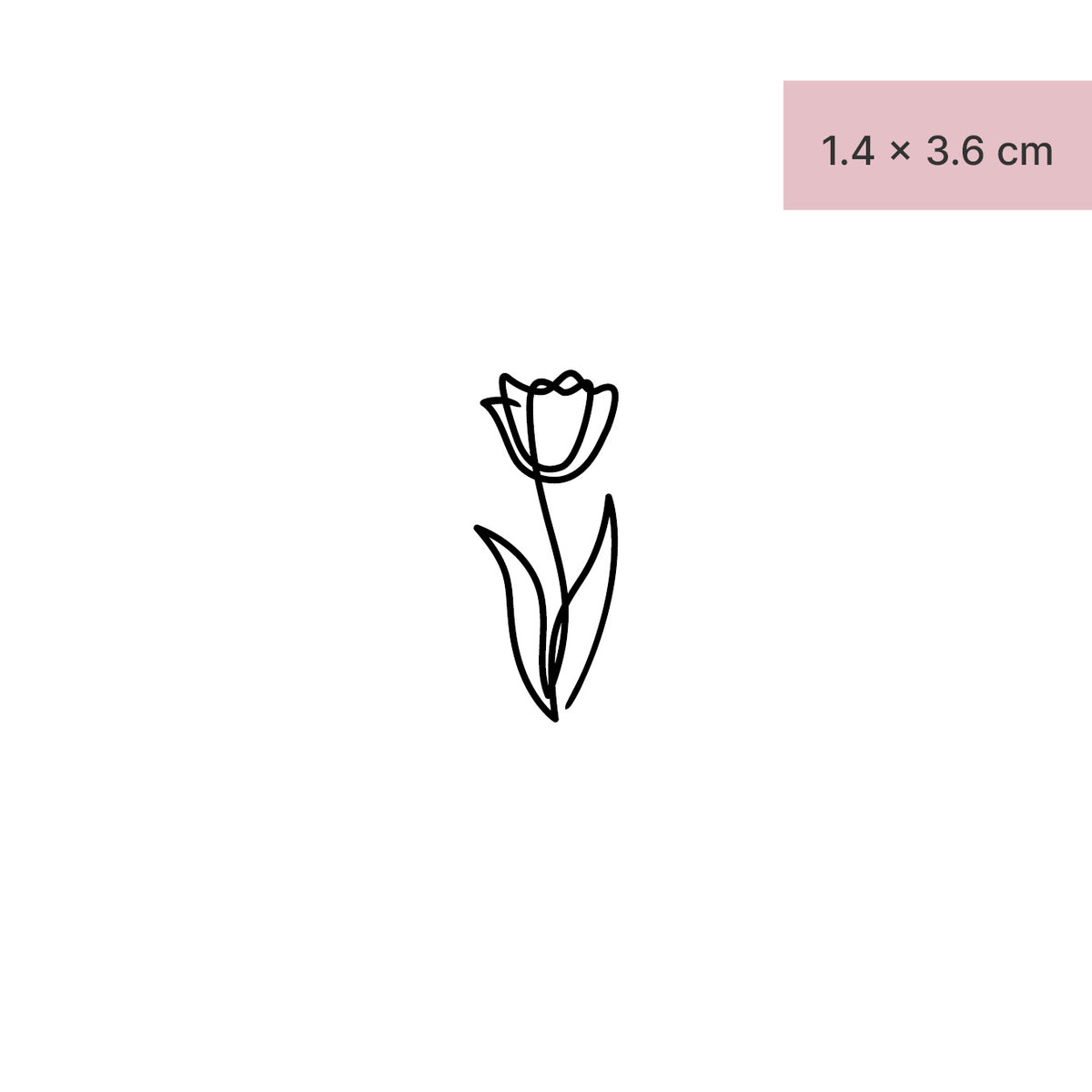 Tulip
