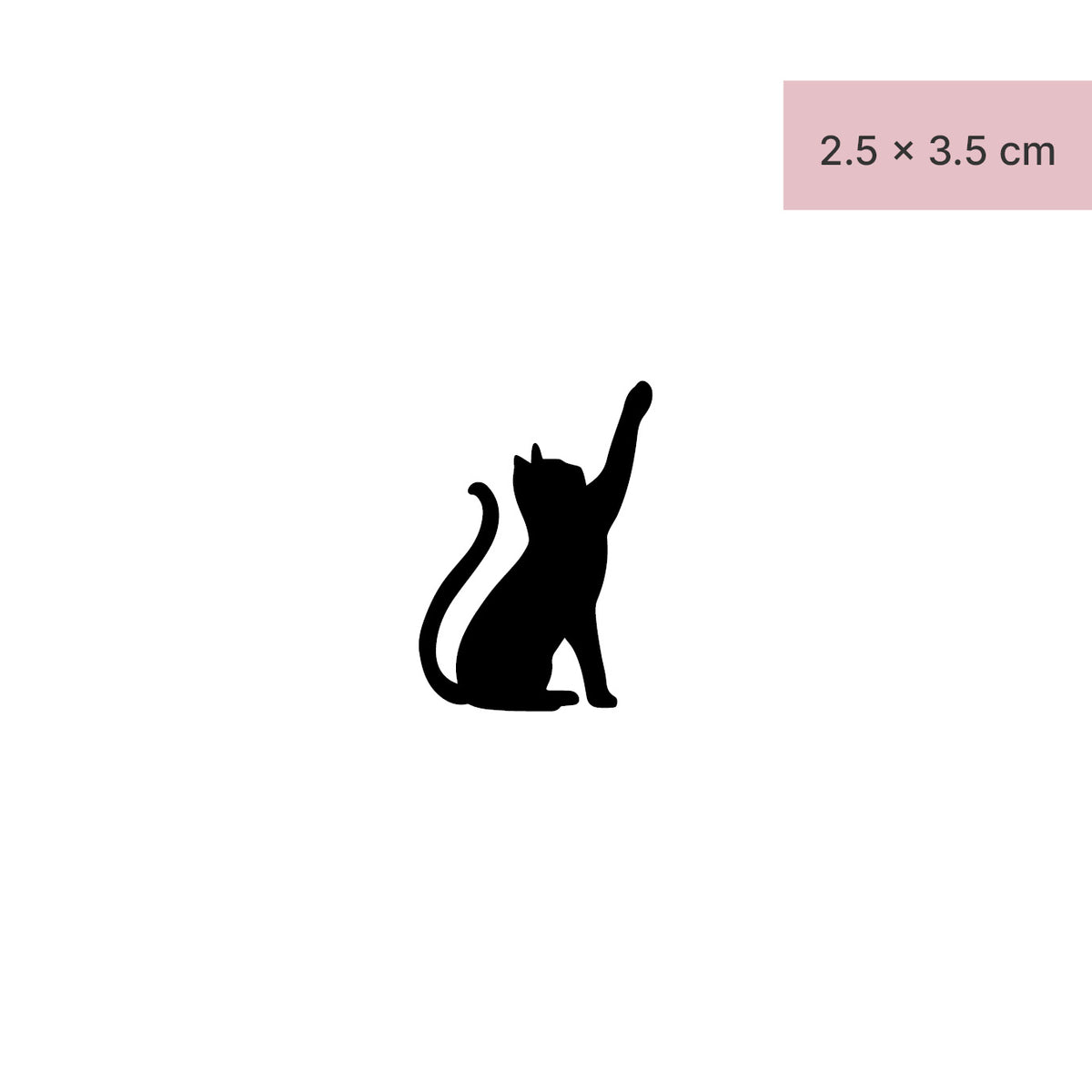 Il gatto ha riempito