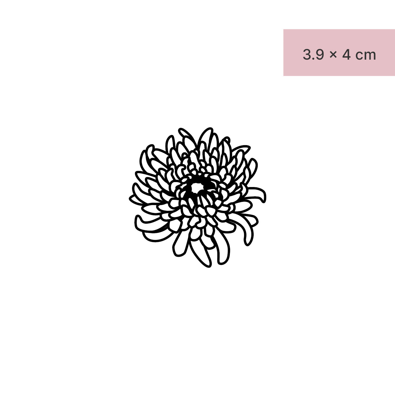 Chrysanthemenblüte Tattoo von minink, der Marke für temporäre Tattoos.