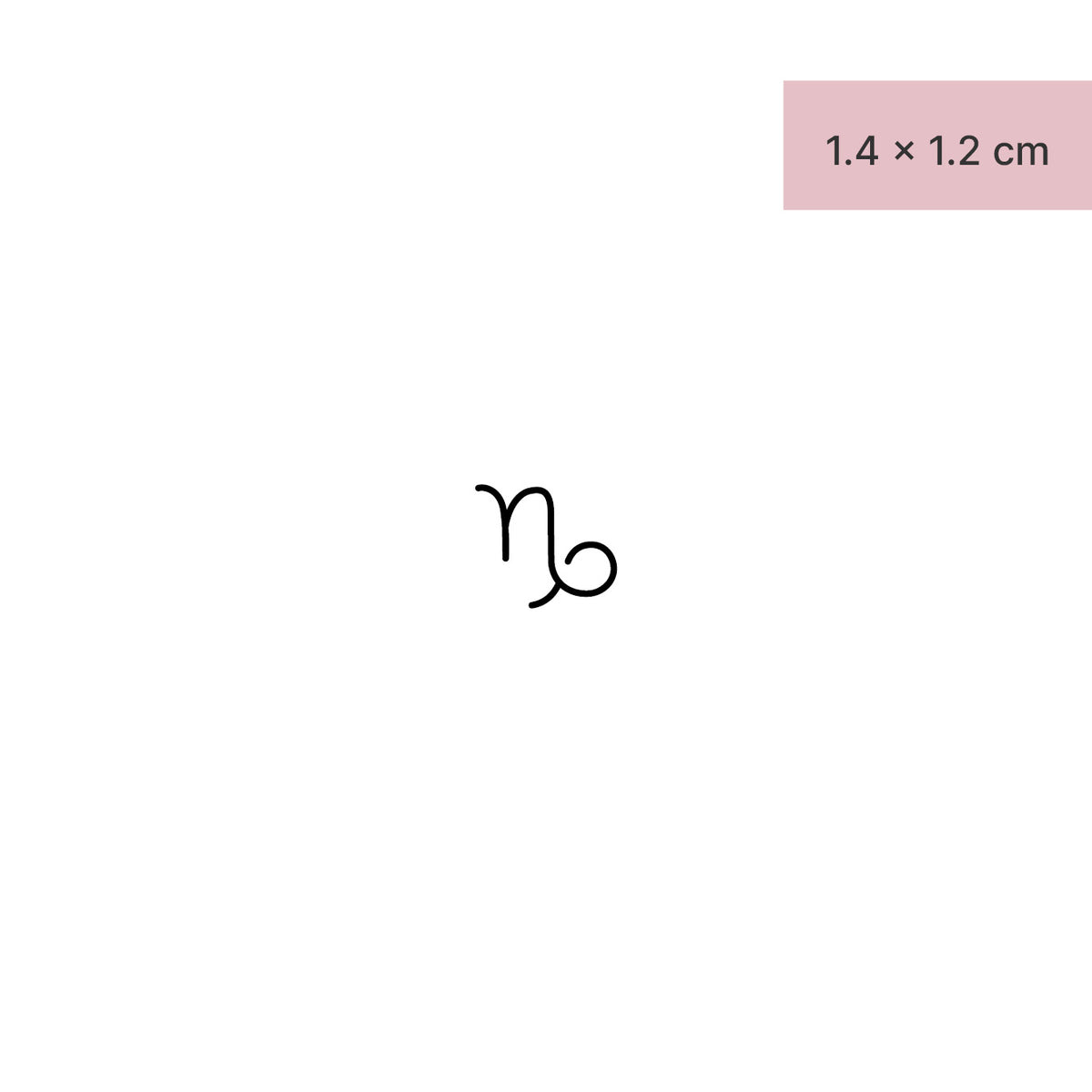 Segno zodiacale Capricorno