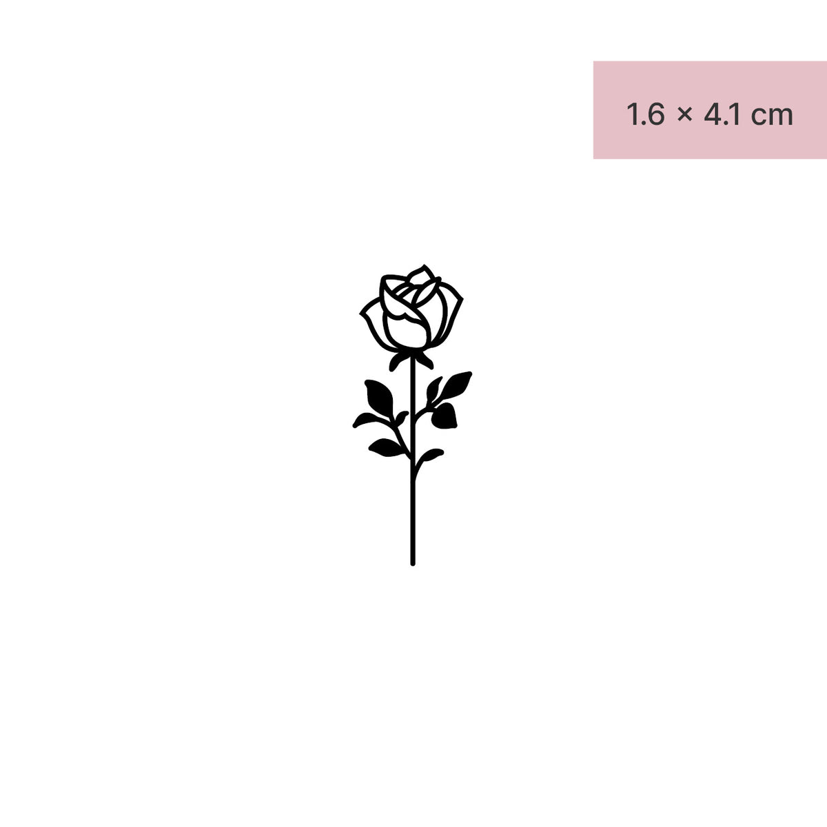 Rose avec feuilles